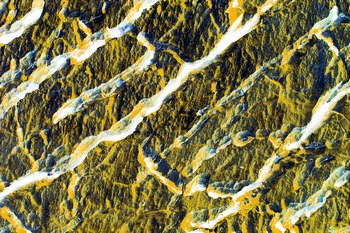 AP 60A1
